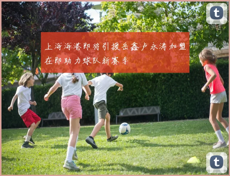 上海海港即将引援岳鑫卢永涛加盟在即助力球队新赛季