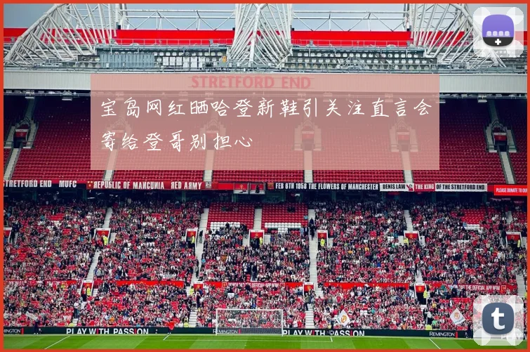 宝岛网红晒哈登新鞋引关注直言会寄给登哥别担心